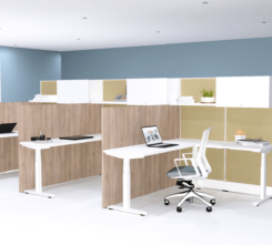 Table-Volley-Height-Adjustable-J1