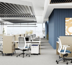 Switch-Benching-Hailifax