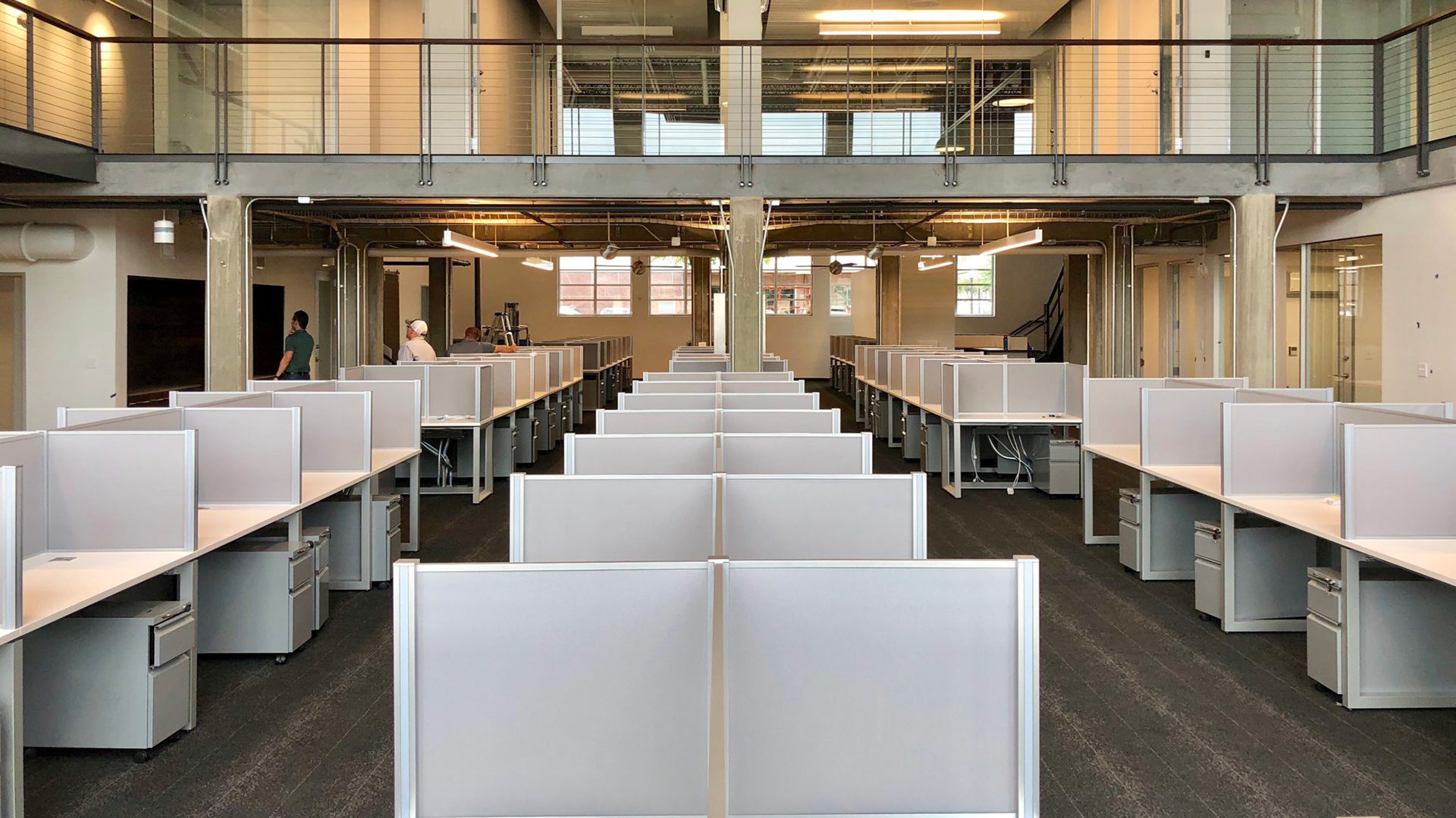 <h1>Legal Monkeys</h1>