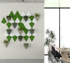 Echo-Kite-Wall-Halifax-J1