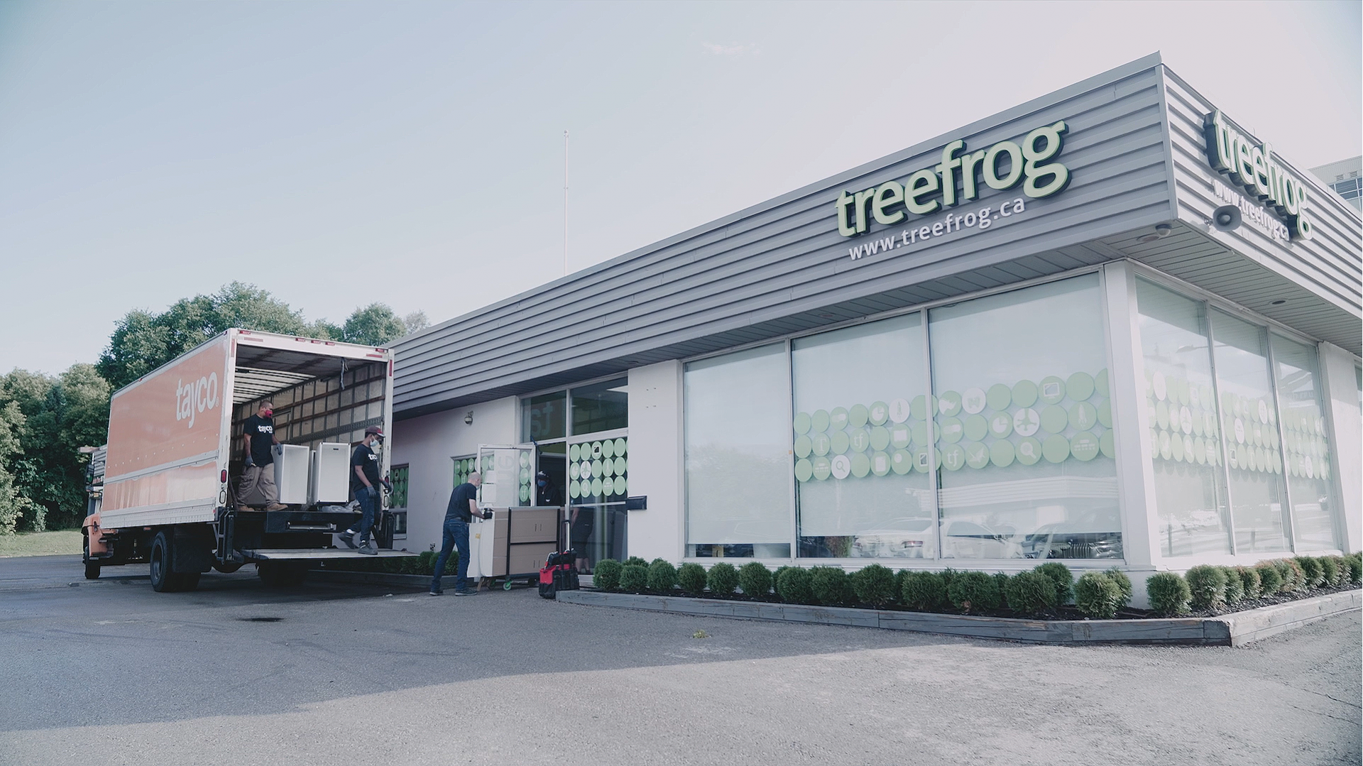 <h1>Treefrog Inc.</h1>