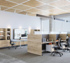 Switch-Quick Ship-Hanna-J1