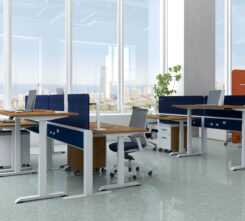 Bridgeway-Volley-Table-Echo-J1