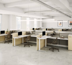 Table-Volley-Height-Adjustable