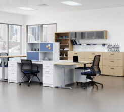 Switch-Switch-Kubo-Volley-J1-M1