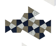 Kite Full Carton (asymmetric)